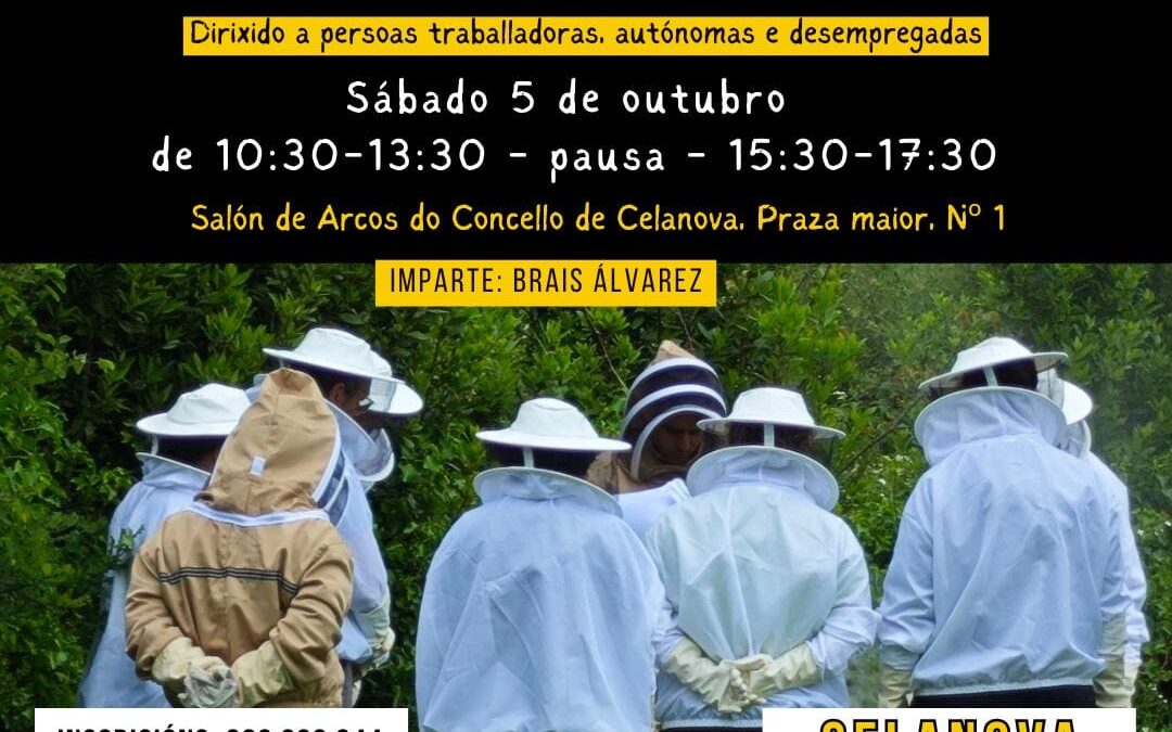 Burocracia Apícola